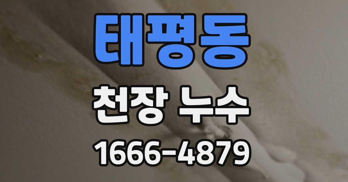 태평동 천장 누수