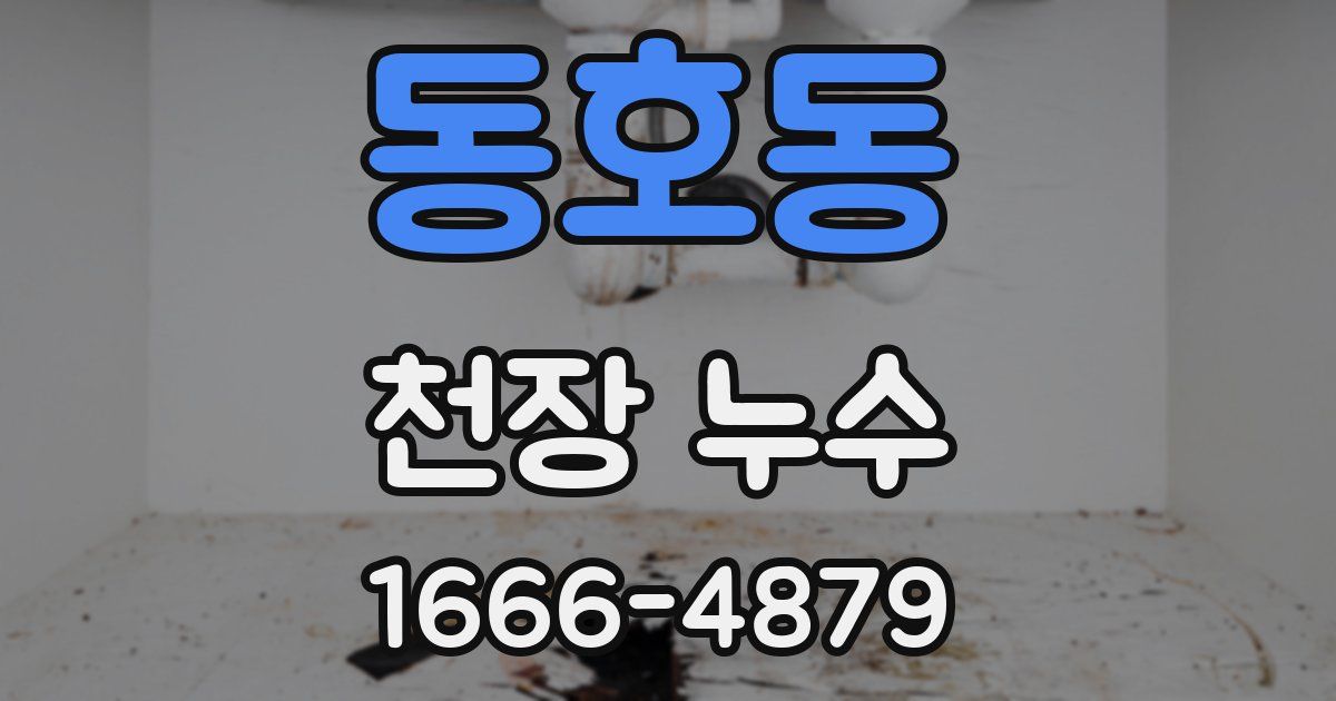 동호동 천장 누수