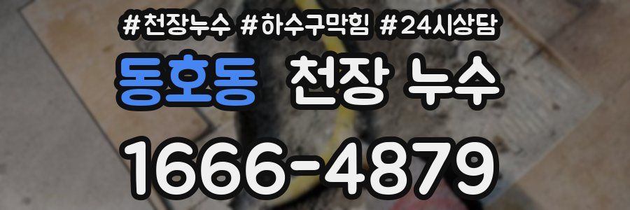 동호동 천장 누수