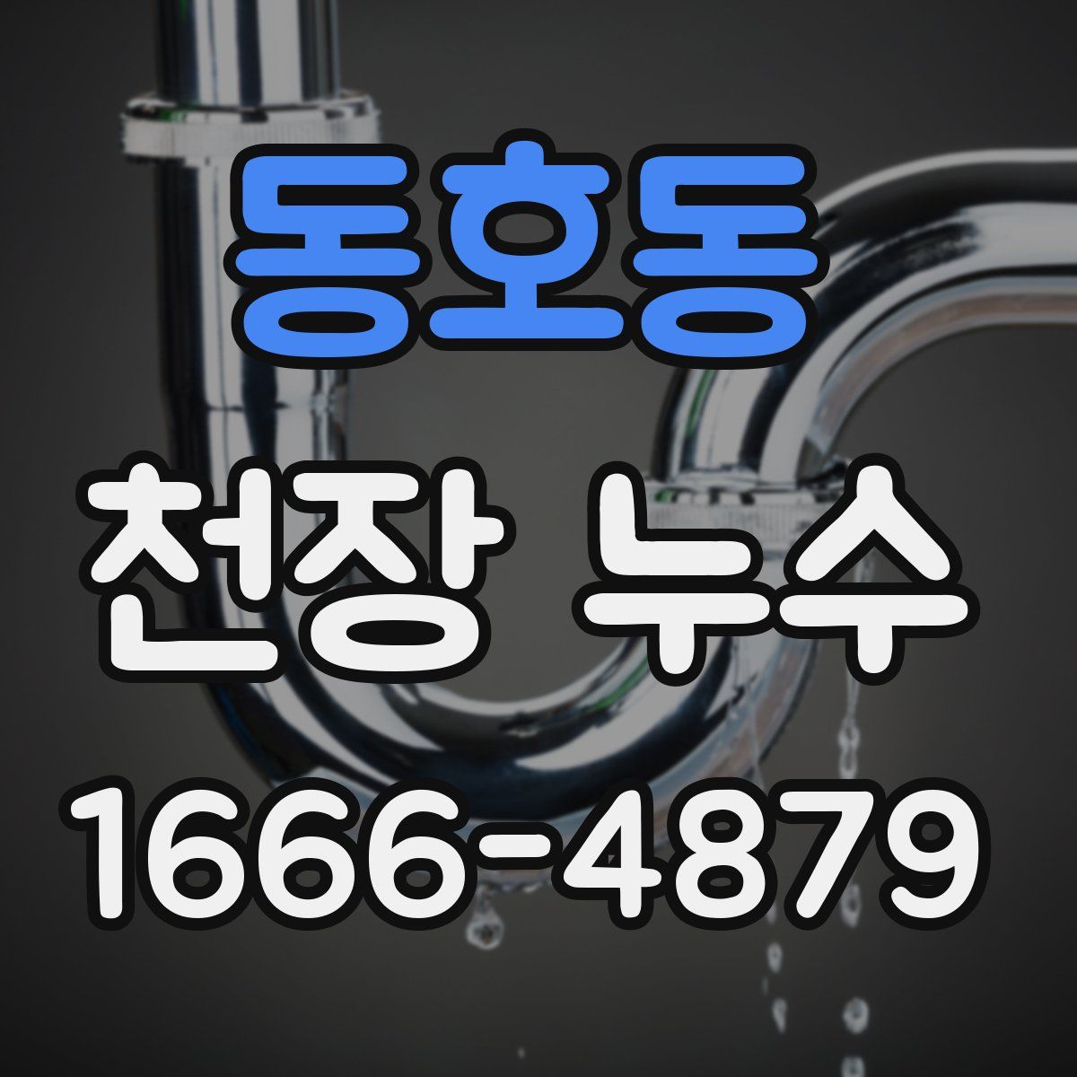 동호동 천장 누수