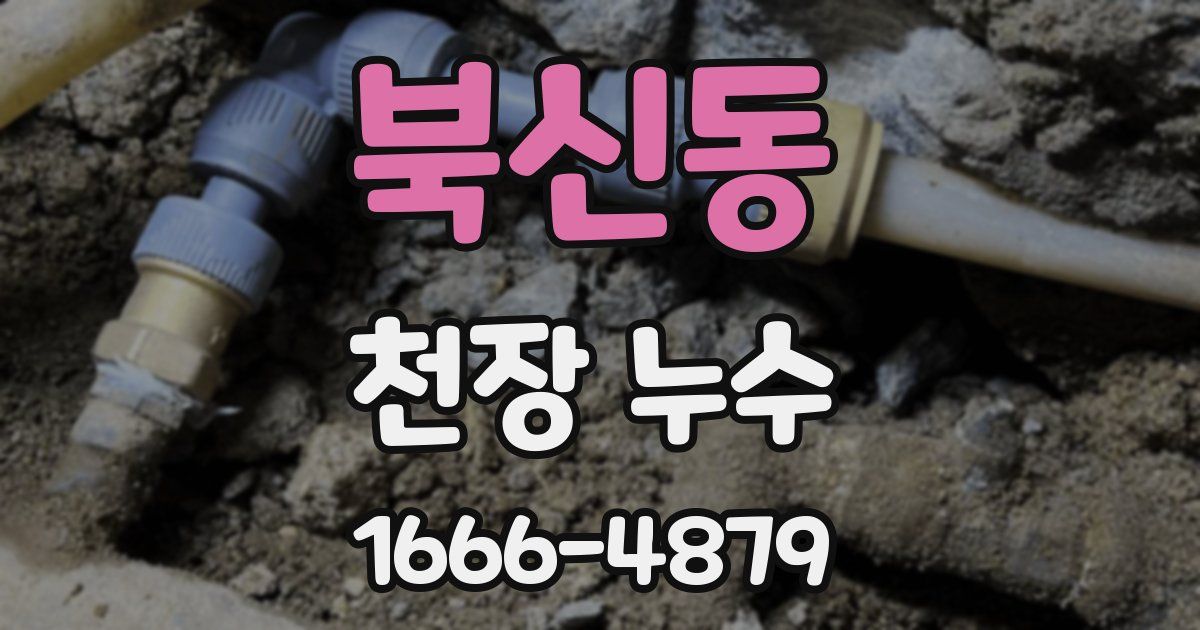 북신동 천장 누수