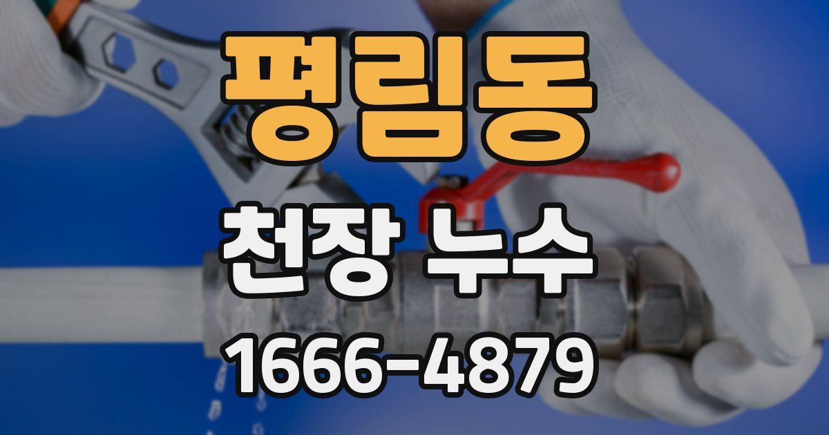 평림동 천장 누수