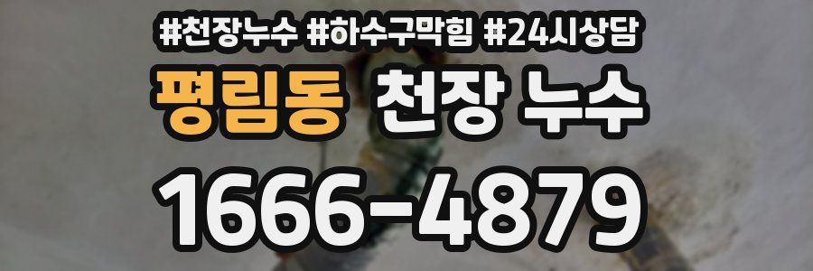 평림동 천장 누수