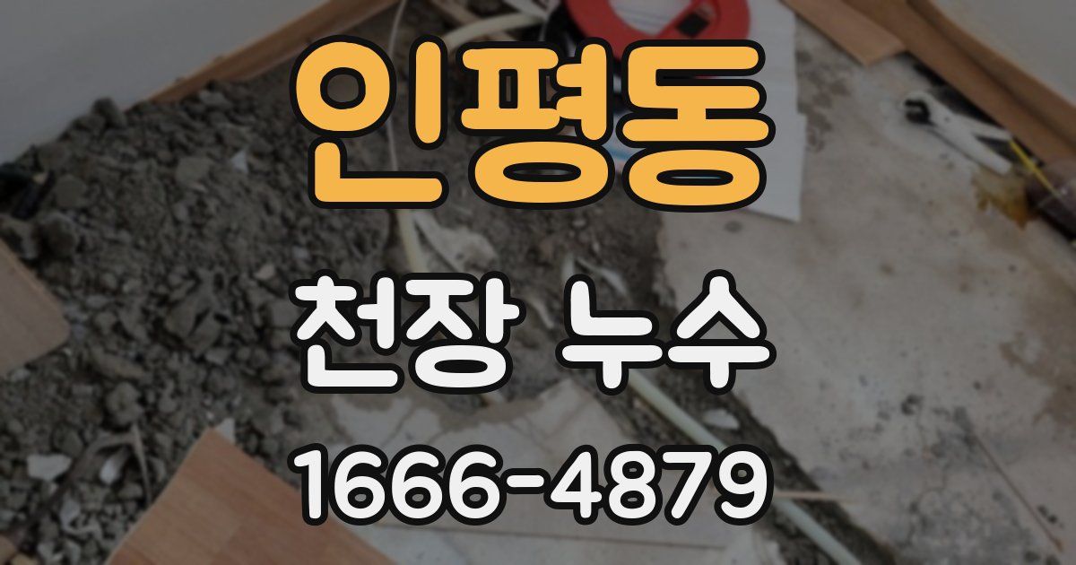 인평동 천장 누수