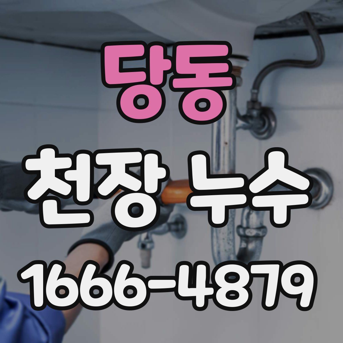 당동 천장 누수