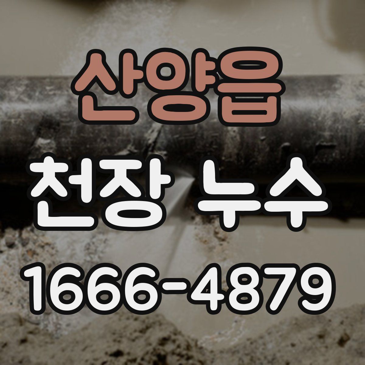 산양읍 천장 누수