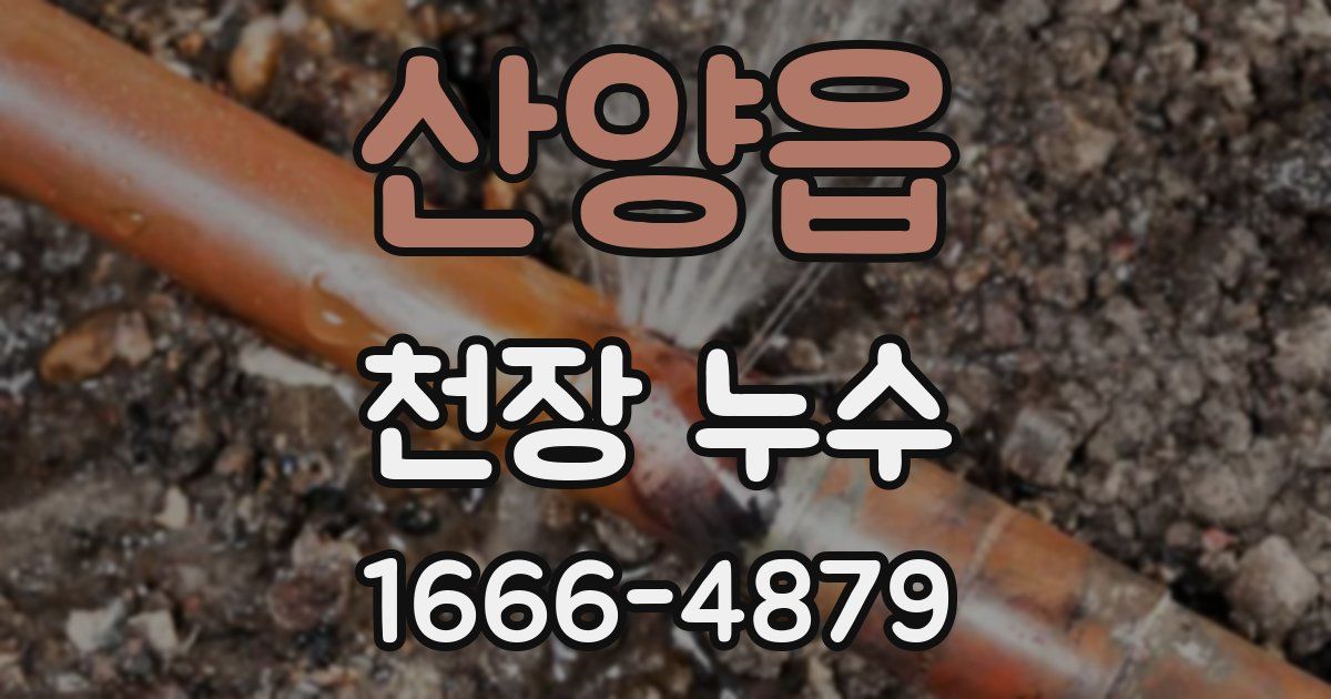 산양읍 천장 누수