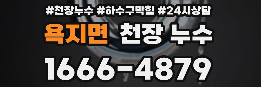 욕지면 천장 누수