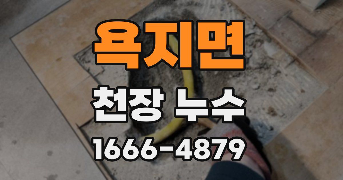 욕지면 천장 누수