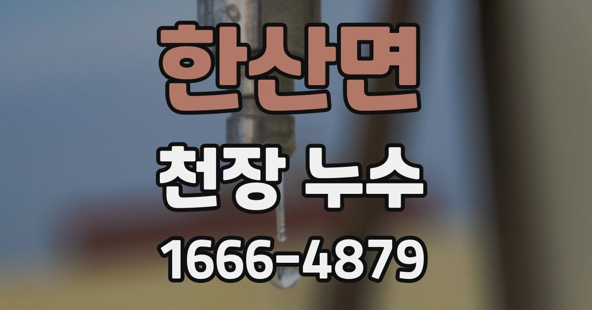 한산면 천장 누수