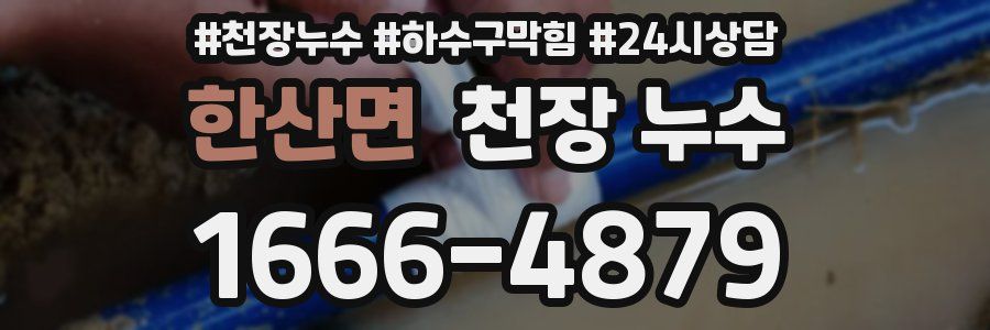 한산면 천장 누수