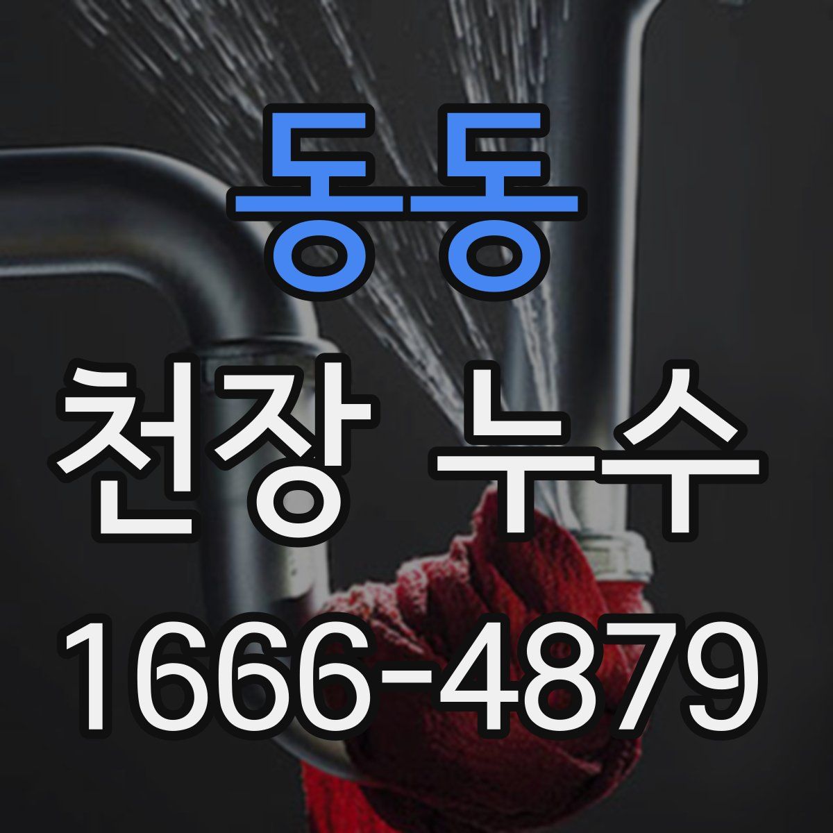 동동 천장 누수