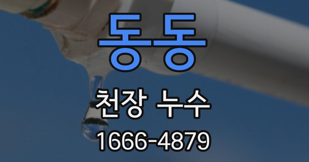 동동 천장 누수