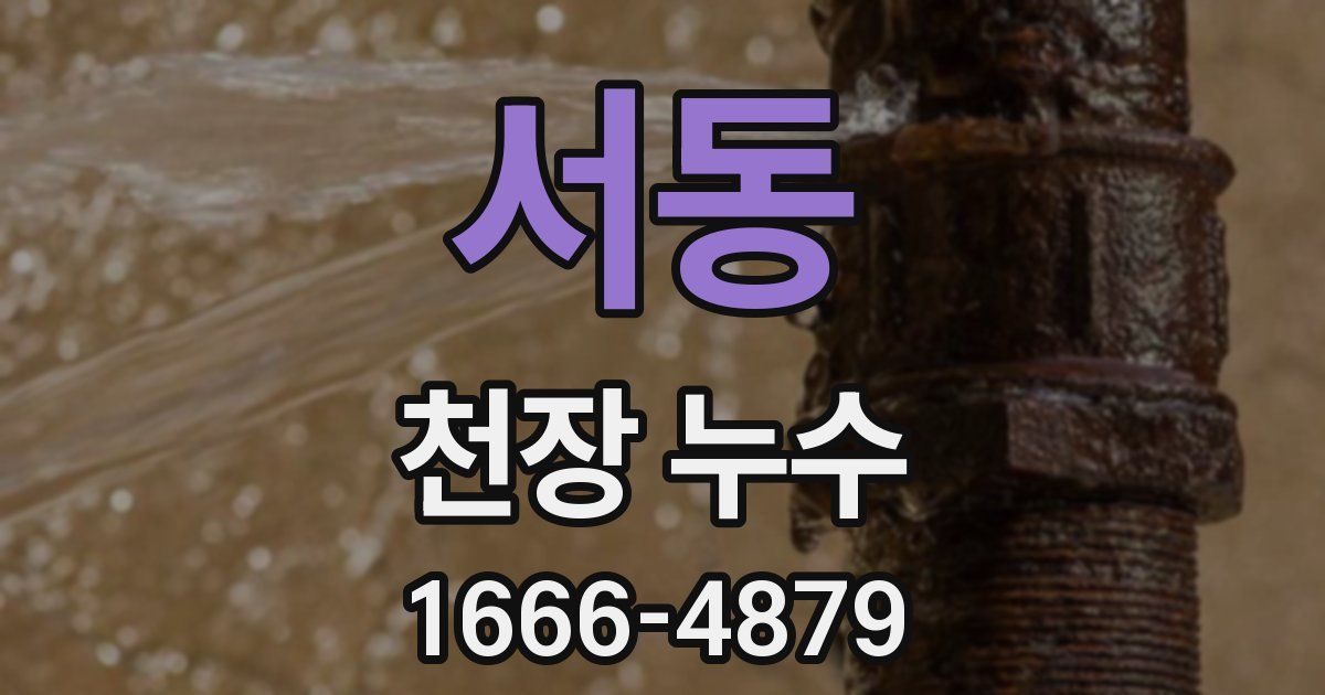 서동 천장 누수