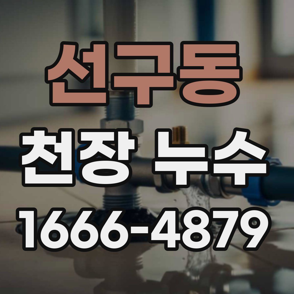 선구동 천장 누수