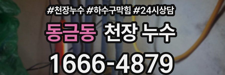 동금동 천장 누수