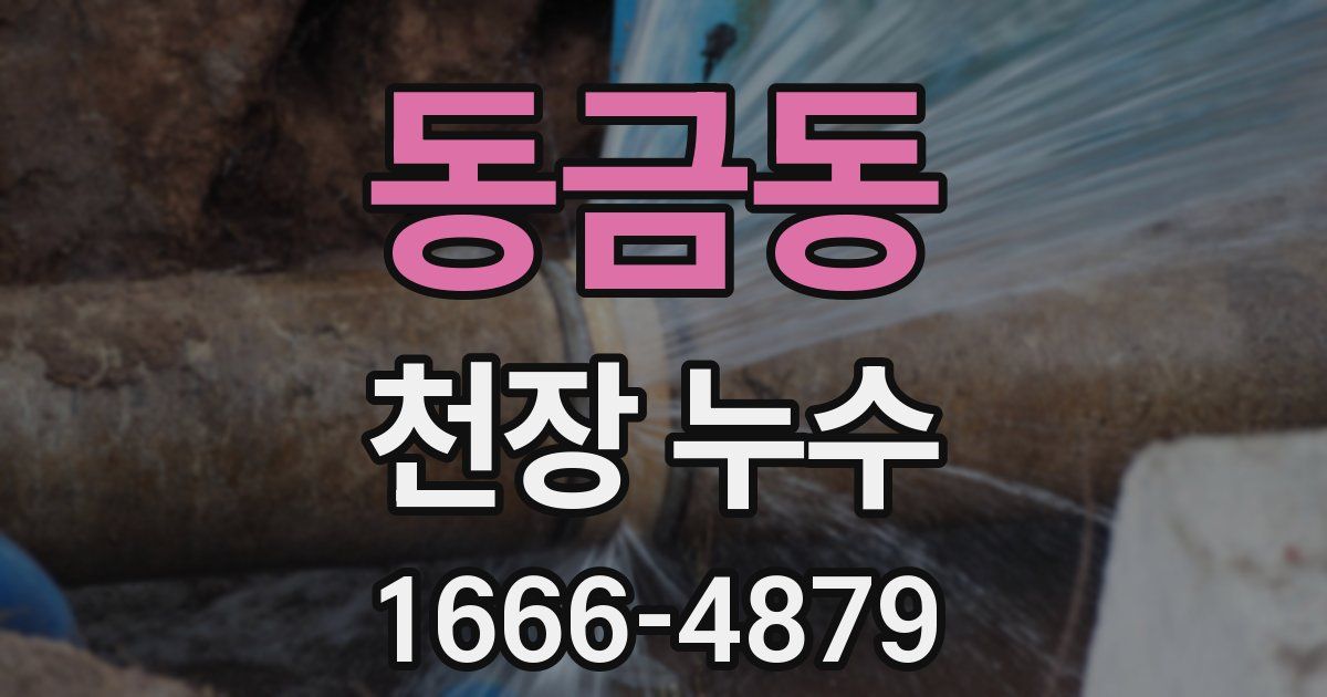 동금동 천장 누수