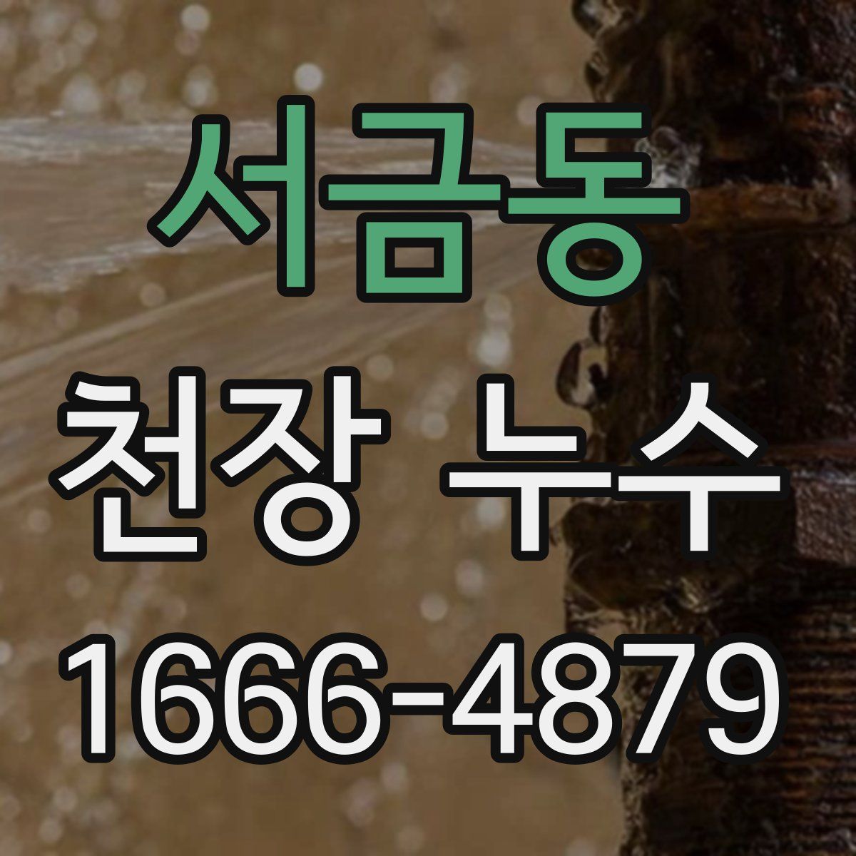 서금동 천장 누수