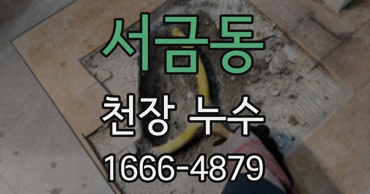 서금동 천장 누수