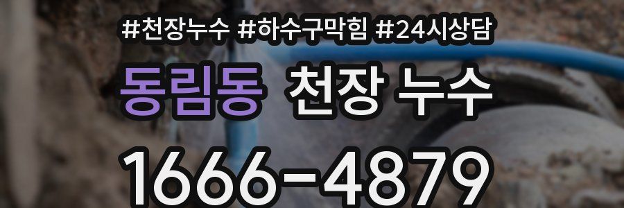 동림동 천장 누수