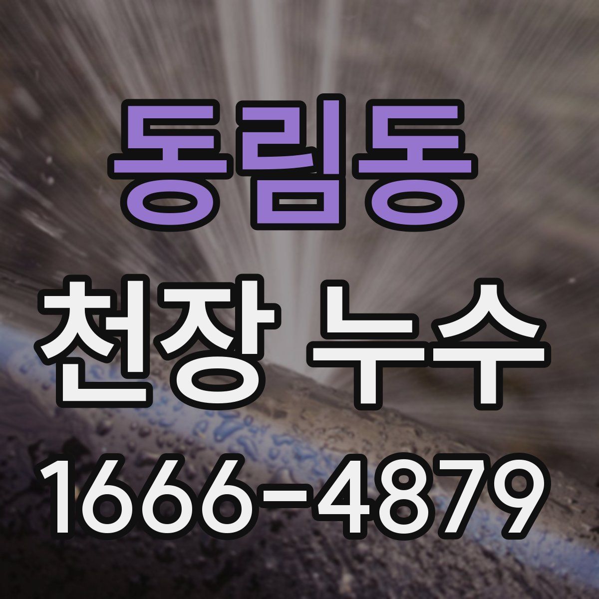 동림동 천장 누수