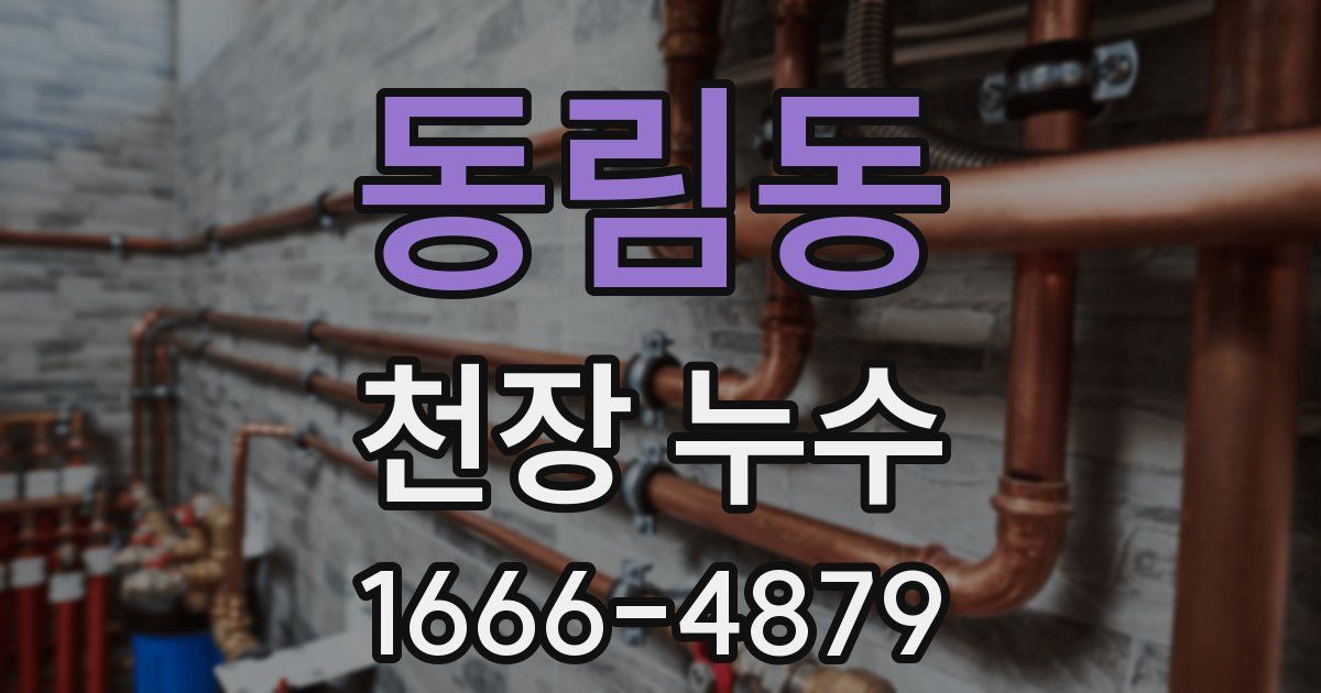 동림동 천장 누수