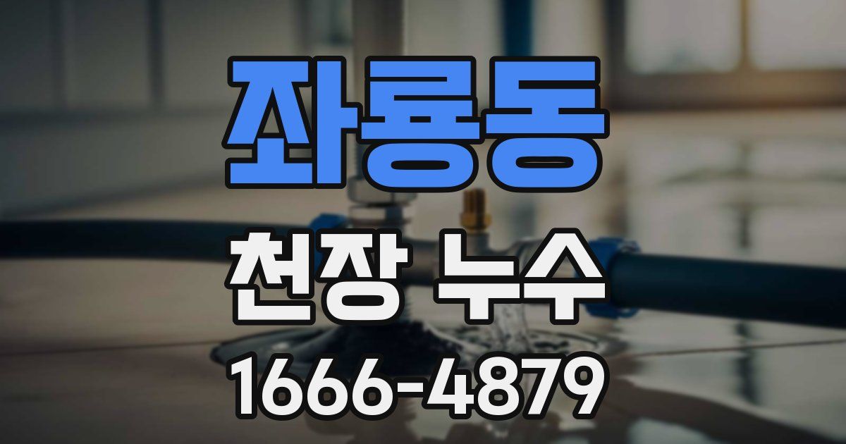 좌룡동 천장 누수