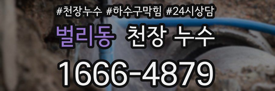 벌리동 천장 누수