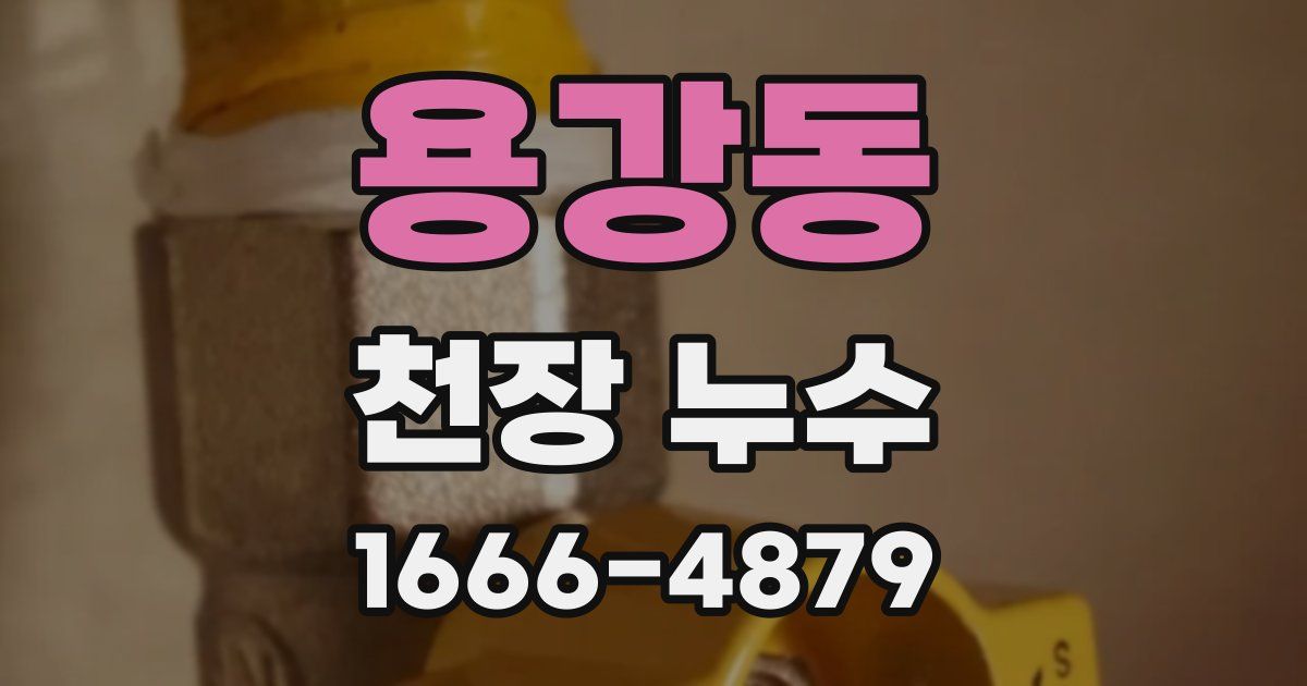 용강동 천장 누수