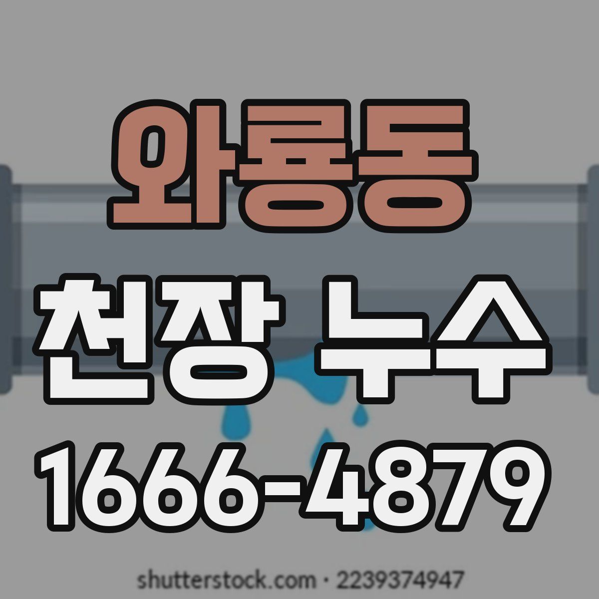 와룡동 천장 누수