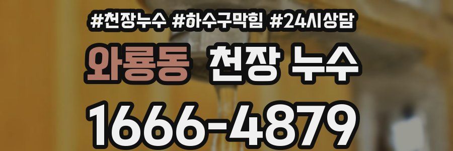 와룡동 천장 누수