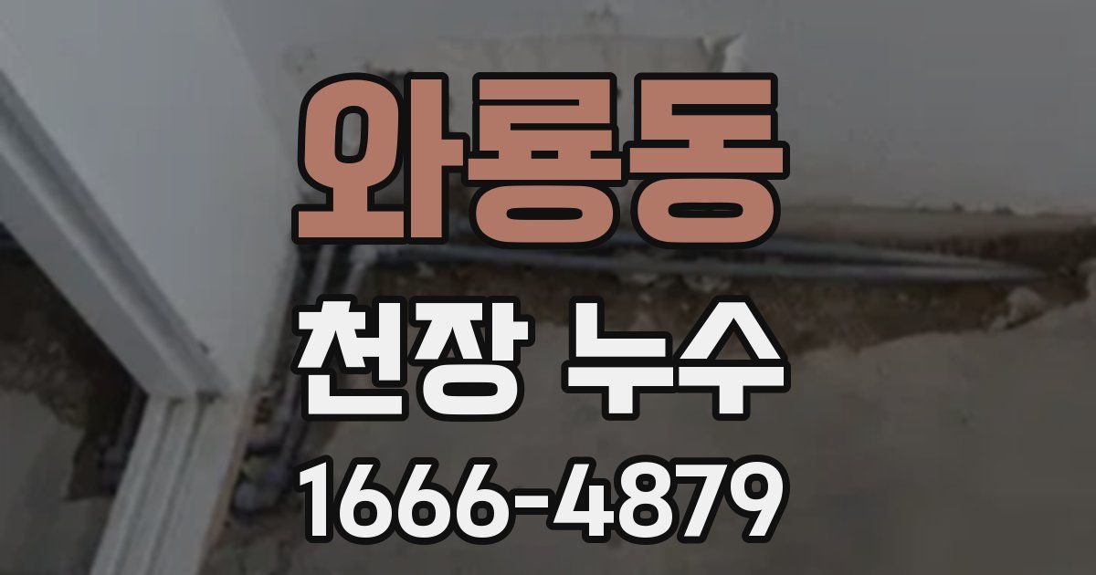 와룡동 천장 누수