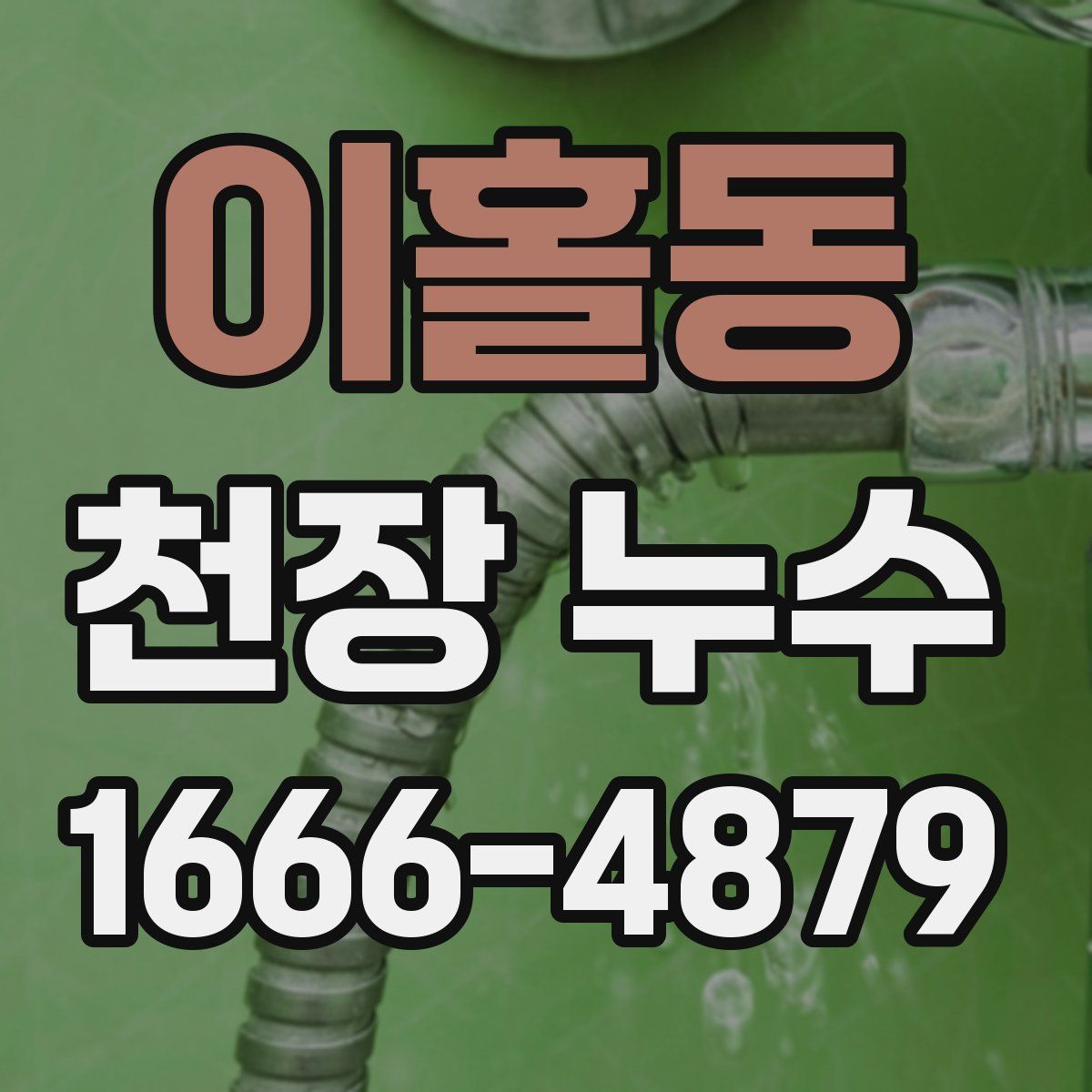 이홀동 천장 누수