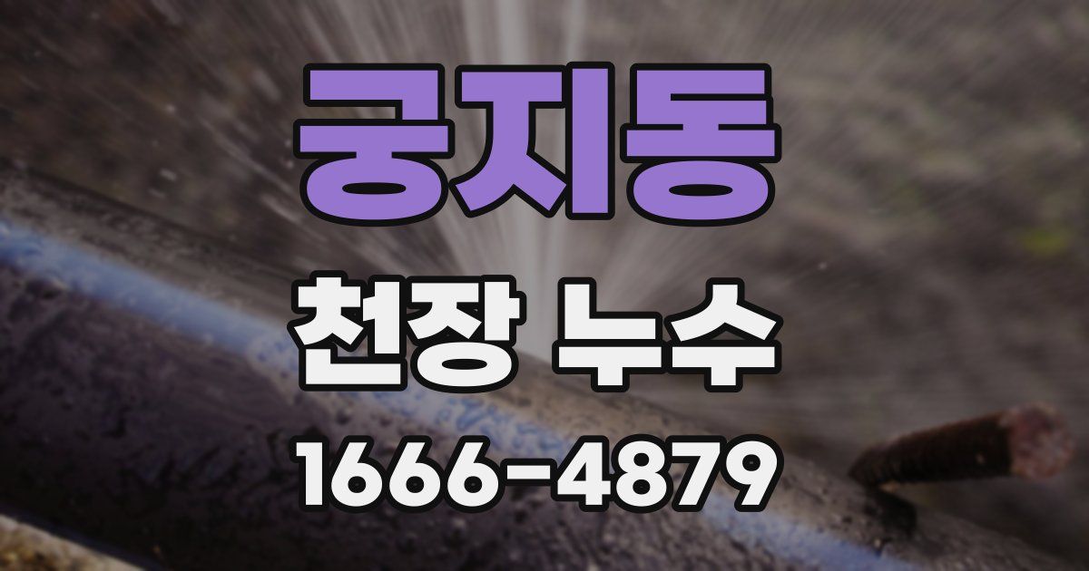 궁지동 천장 누수