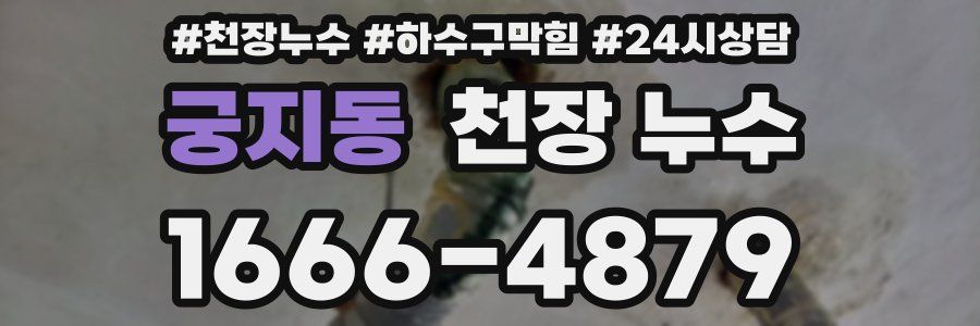 궁지동 천장 누수