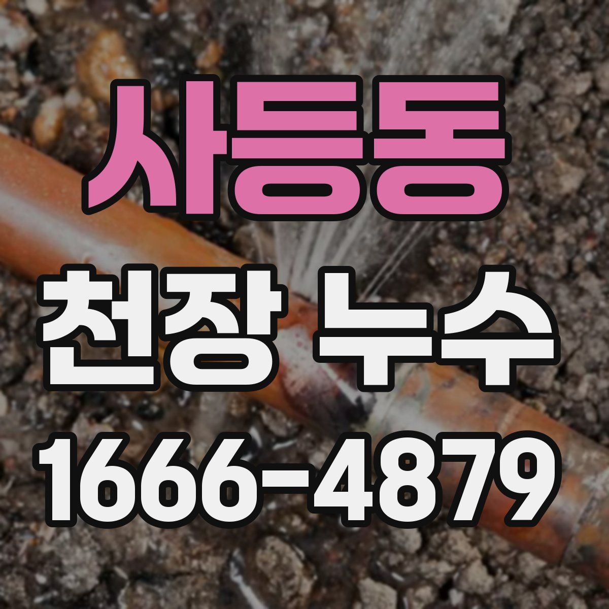 사등동 천장 누수