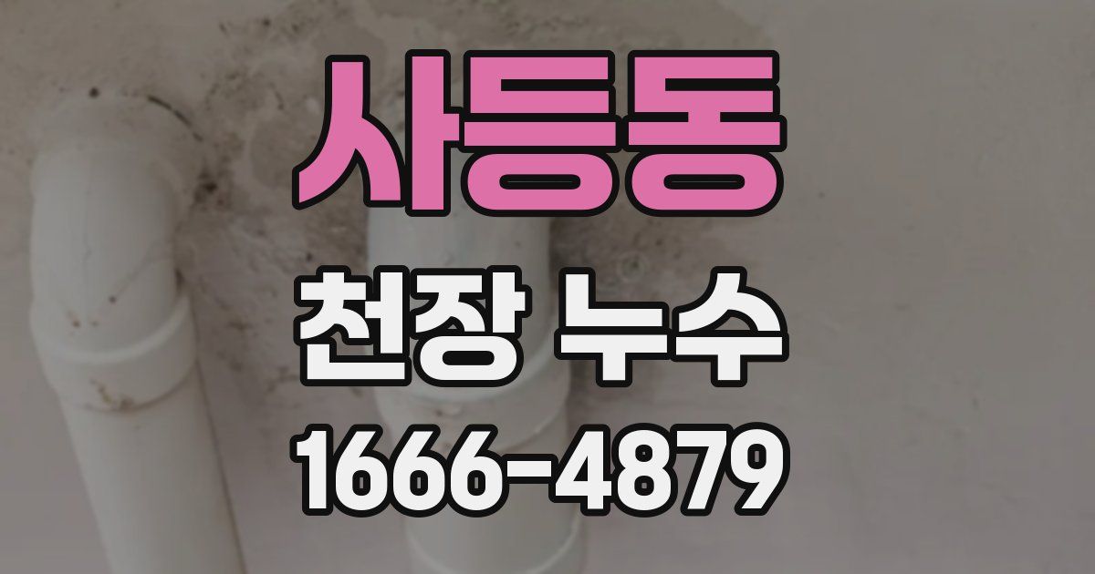 사등동 천장 누수