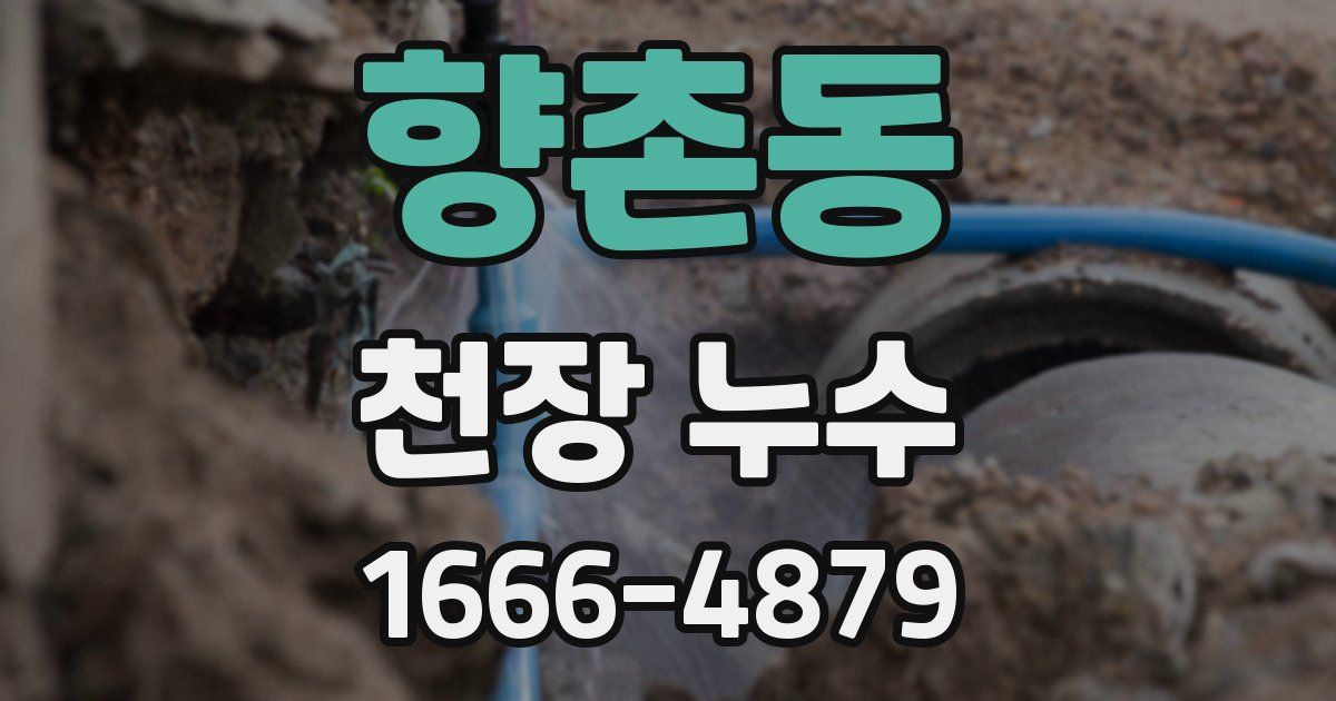 향촌동 천장 누수