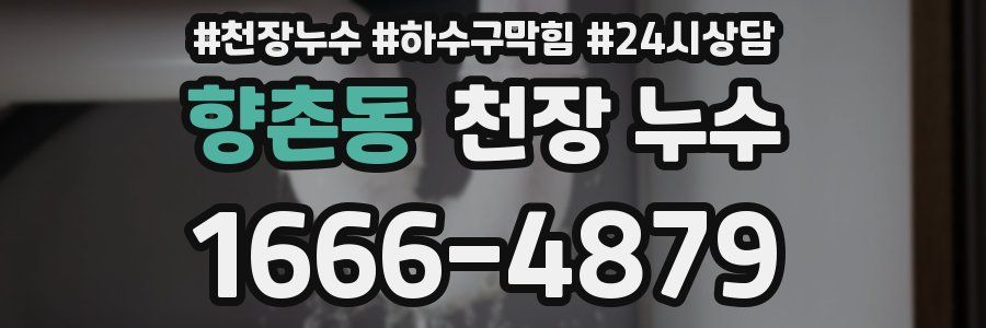 향촌동 천장 누수