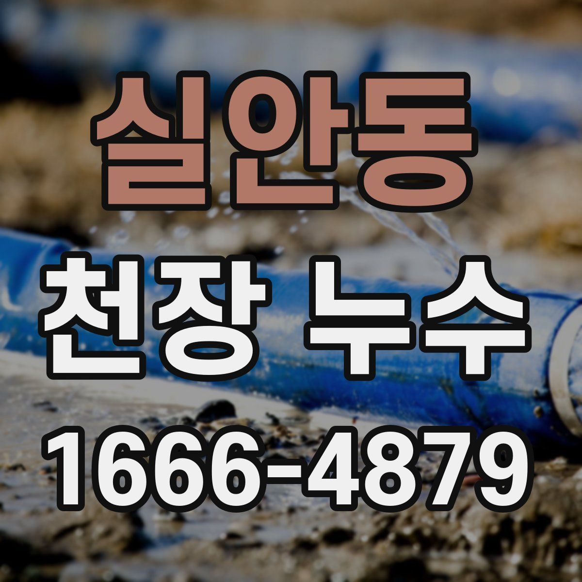 실안동 천장 누수