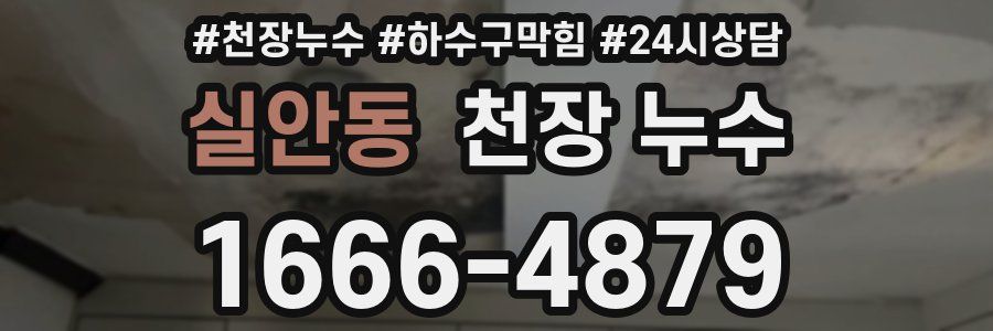 실안동 천장 누수