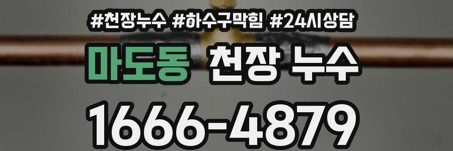 마도동 천장 누수