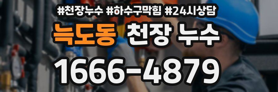 늑도동 천장 누수