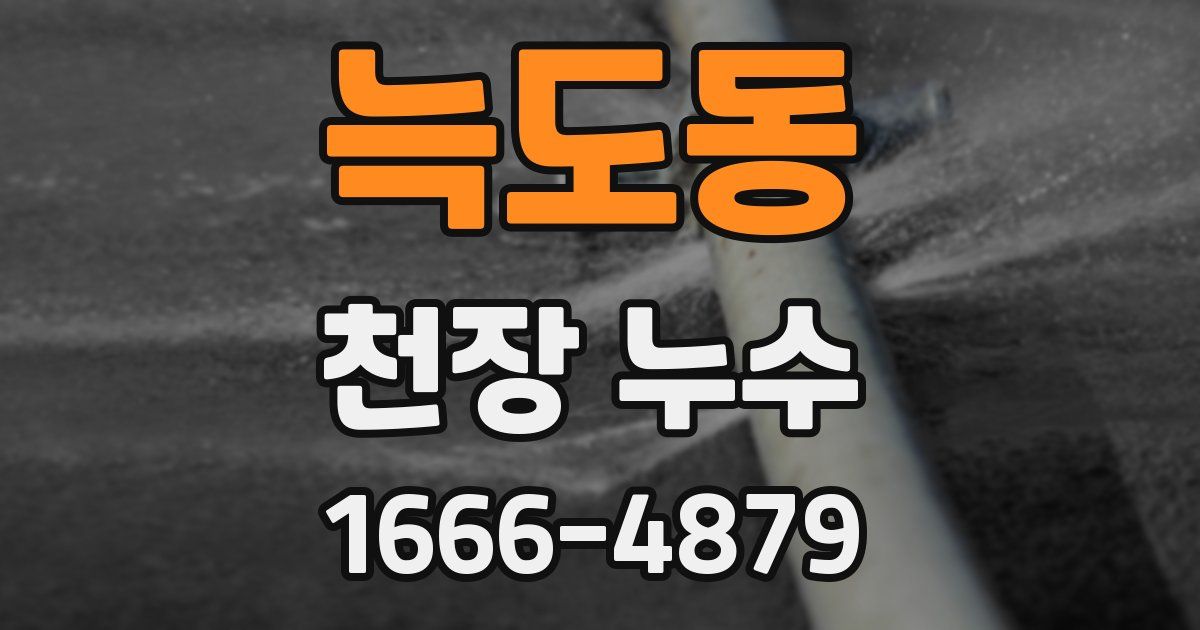 늑도동 천장 누수