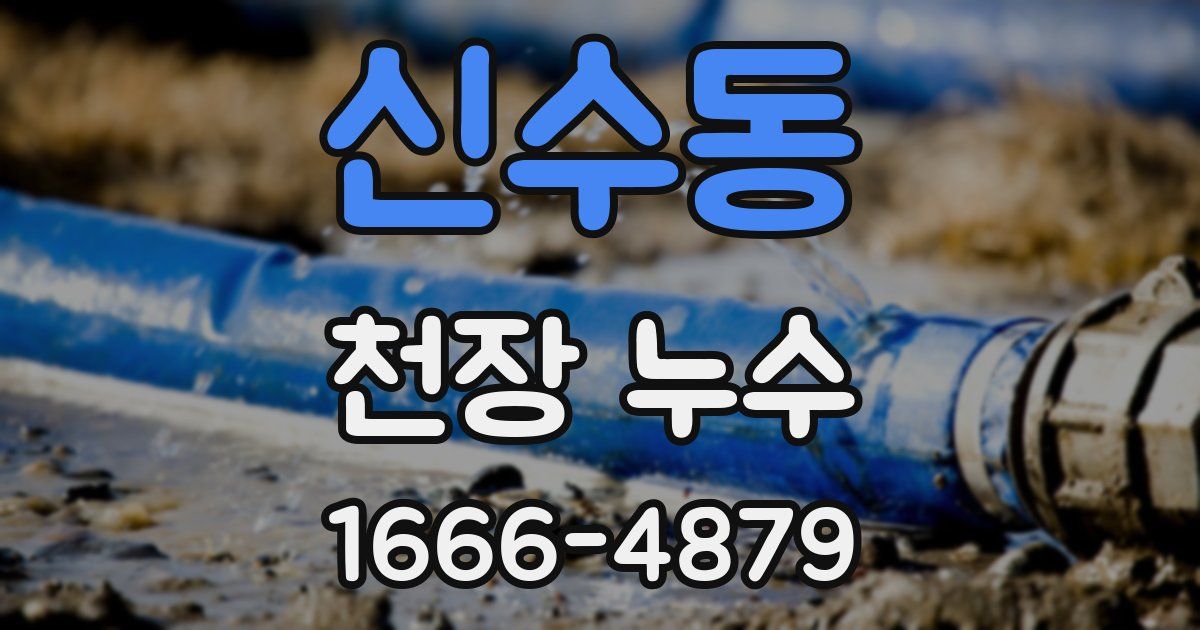 신수동 천장 누수