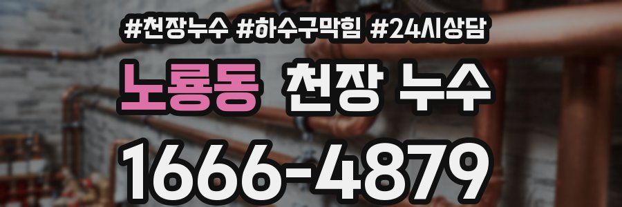 노룡동 천장 누수