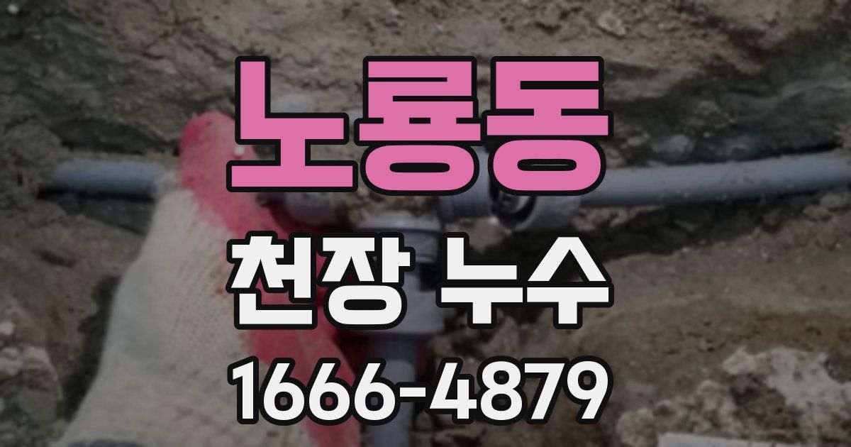 노룡동 천장 누수