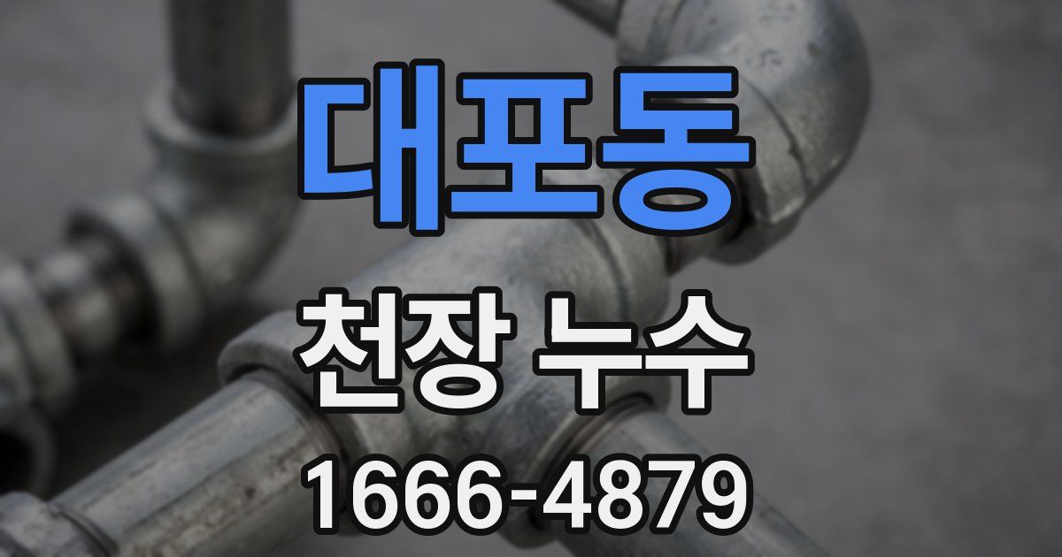 대포동 천장 누수