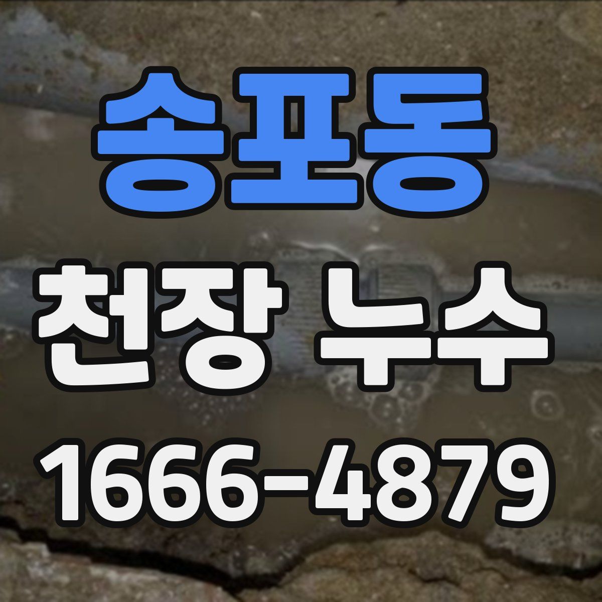 송포동 천장 누수