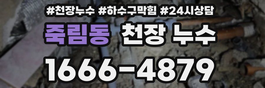 죽림동 천장 누수